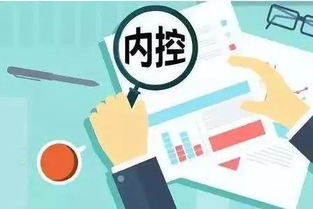 企業(yè)如何建立有效的內(nèi)部控制制度 理論與實(shí)務(wù)指導(dǎo)